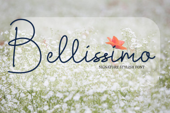 Bellissimo Font Review