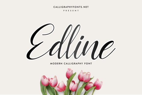Edline Font: Elegant Script for Creative Makers
