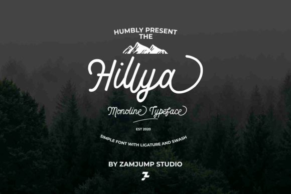 Hillya: A Vintage Script Font for Small Business Branding