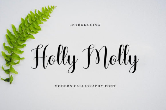 Holly Molly Font for Elegant Design