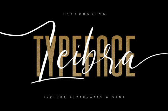 Leibra Font for Web Design