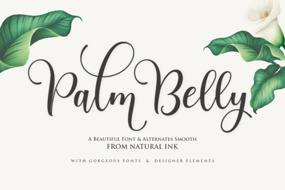 Palm Belly Font for Creative Makers