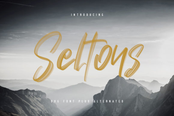 Seltons: A Stylish Script Font