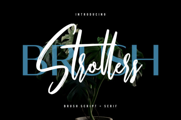 Strollers Font for Editorial Design